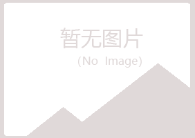 蠡县夜山化学有限公司